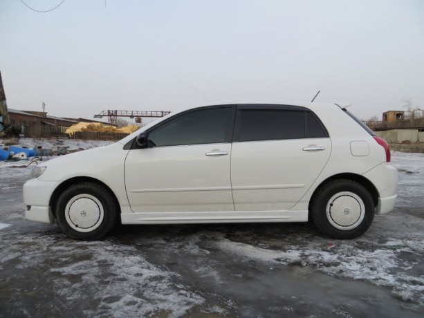 Накладки на пороги "Wald" Toyota Corolla Runx/Allex купить недорого с доставкой в Архангельск