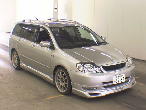 Накладки на пороги "Gialla" Toyota Corolla (120, 121 Fielder) купить недорого с доставкой в Архангельск