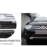 Защита радиатора "Standart" Citroen C-Elysee (2012-2017) чёрная купить недорого с доставкой в Архангельск