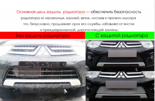 Защита радиатора "Standart" Citroen C-Elysee (2012-2017) чёрная купить недорого с доставкой в Архангельск