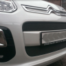 Защита радиатора "Standart" Citroen C3 Picasso (2012-2016) чёрная купить недорого с доставкой в Архангельск