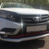 накладка на передний бампер "птичка" для l@da XR@Y купить недорого с доставкой в Архангельск